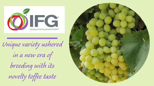 IFG celebrates 20 years of the Cotton Candy grape delighting adults and children around the world