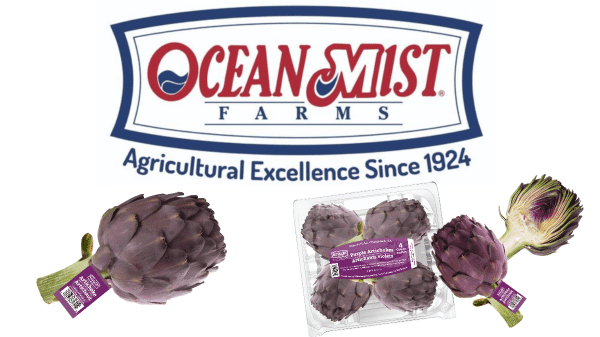 Ocean Mist Farms purple artichokes are here