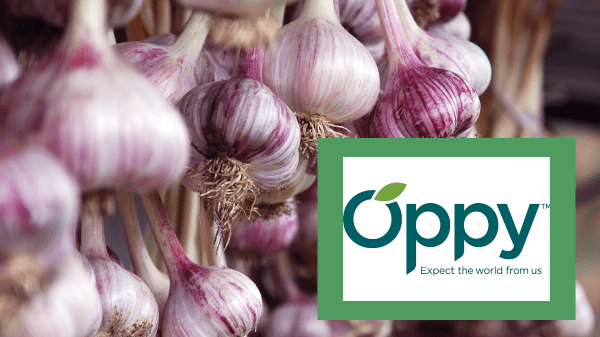 Oppy adds Spanish garlic to its hot streak