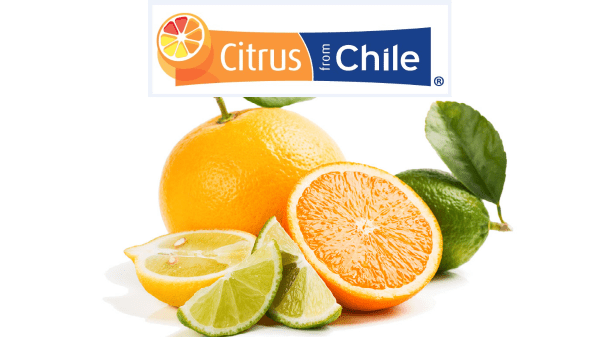 citrus from chile logo