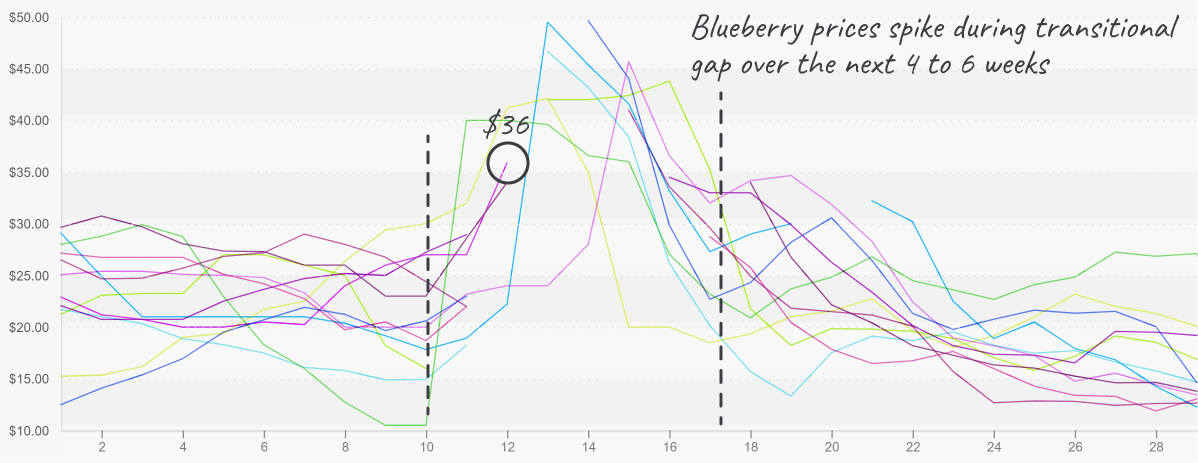 produceiq blueberry market prices