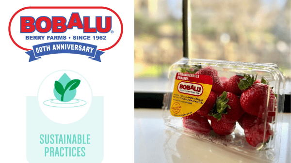 Bobalu Berries adds to sustainability efforts in 2023