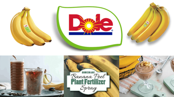 Dole's 30 surprising banana uses and recipes for National Banana Day