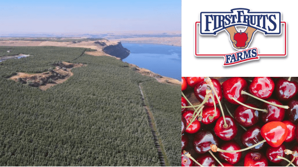 FirstFruits Marketing brings new technology to the farm
