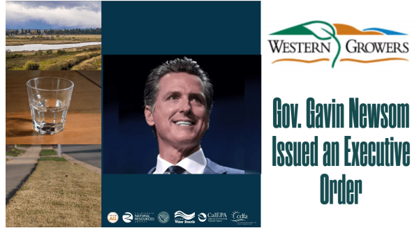 Governor Newsom issues executive order allowing floodwater to be used to recharge and store groundwater
