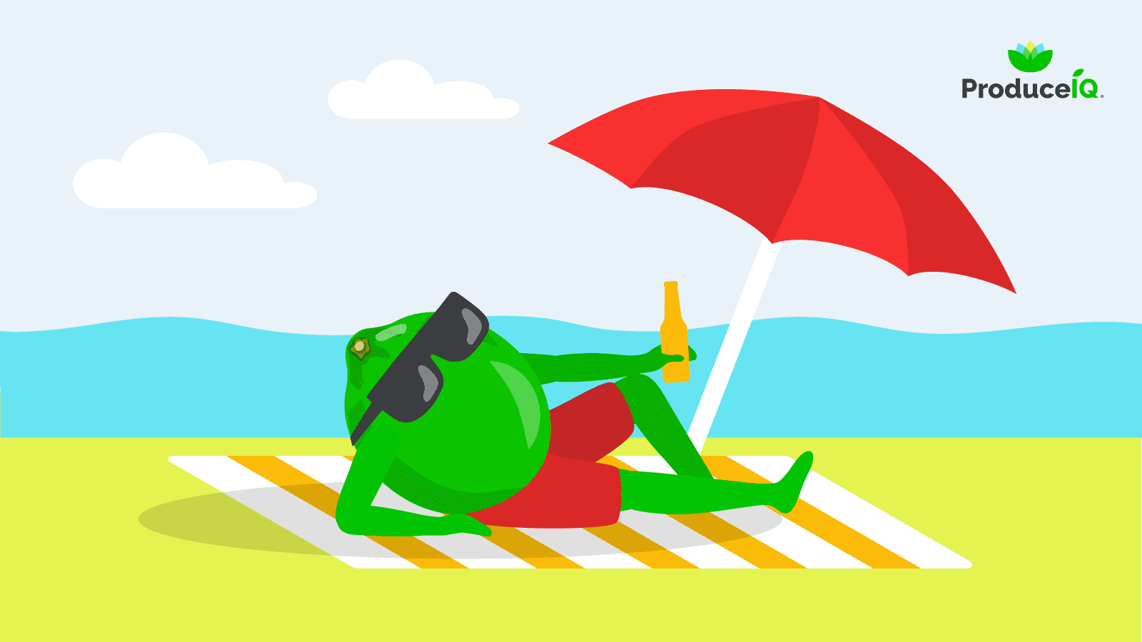 Lime-at-the-beach
