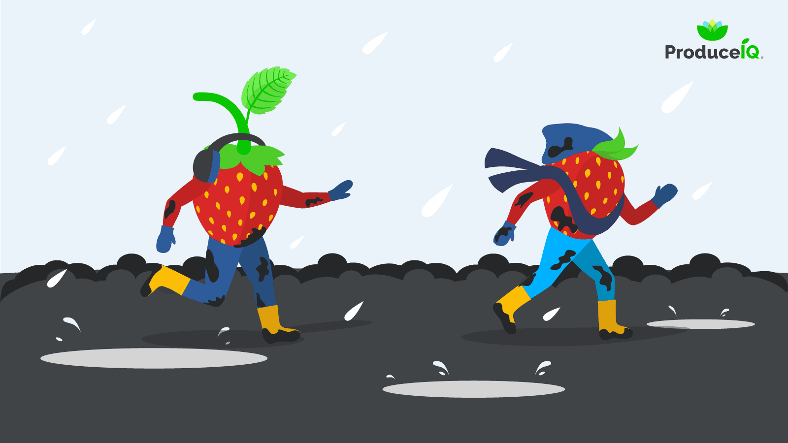 Muddy-Strawberries