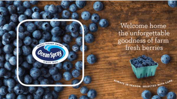 Oppy secures year-round blueberry program with new source