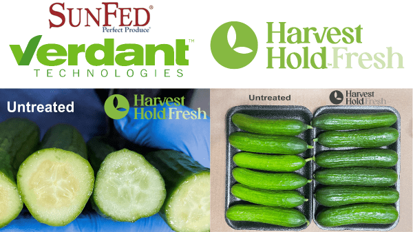 SunFed and Verdant Technologies partner to deliver fresher, greener cucumbers
