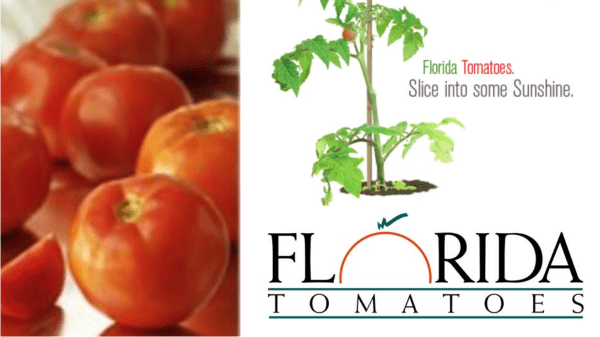 Florida tomato industry seeks nominations for committee