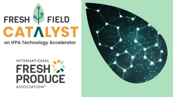IFPA unveils 2nd batch for Fresh Field Catalyst Accelerator