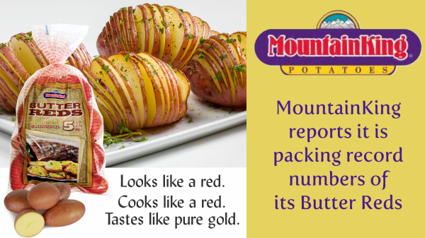 MountainKing helps retailers ready for red potato summer selling season