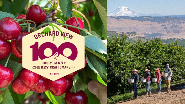 Orchard View celebrates a cherry century