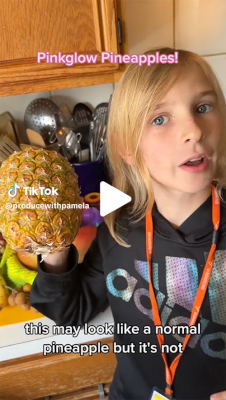 Pinkglow pineapple review produce with pamela tiktok