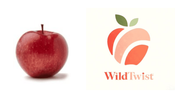 wildtwist apple