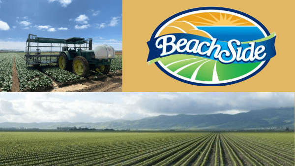 Beachside Produce, LLC and Pismo Oceano Vegetable Exchange Growers, LLC Join Forces