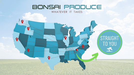 Bonsai Produce in Article Copy 535x300 5-8-23