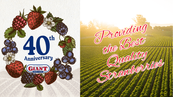 California Giant Berry Farms Celebrates 40th Anniversary