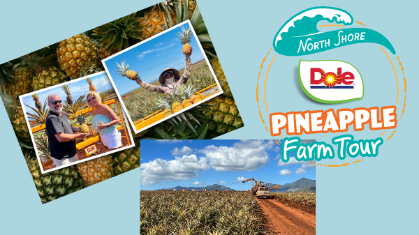 Dole Food Co. Launches a More Intimate Hawaiian Pineapple Farm Tour