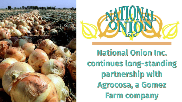 National Onion, Inc. begins 41st summer onion season