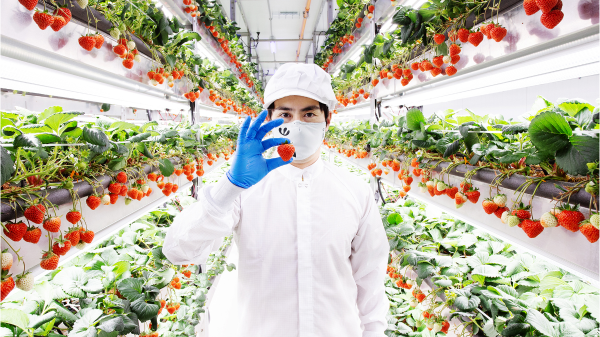 Oishii and Yaskawa Electric partner for vertical farming innovations