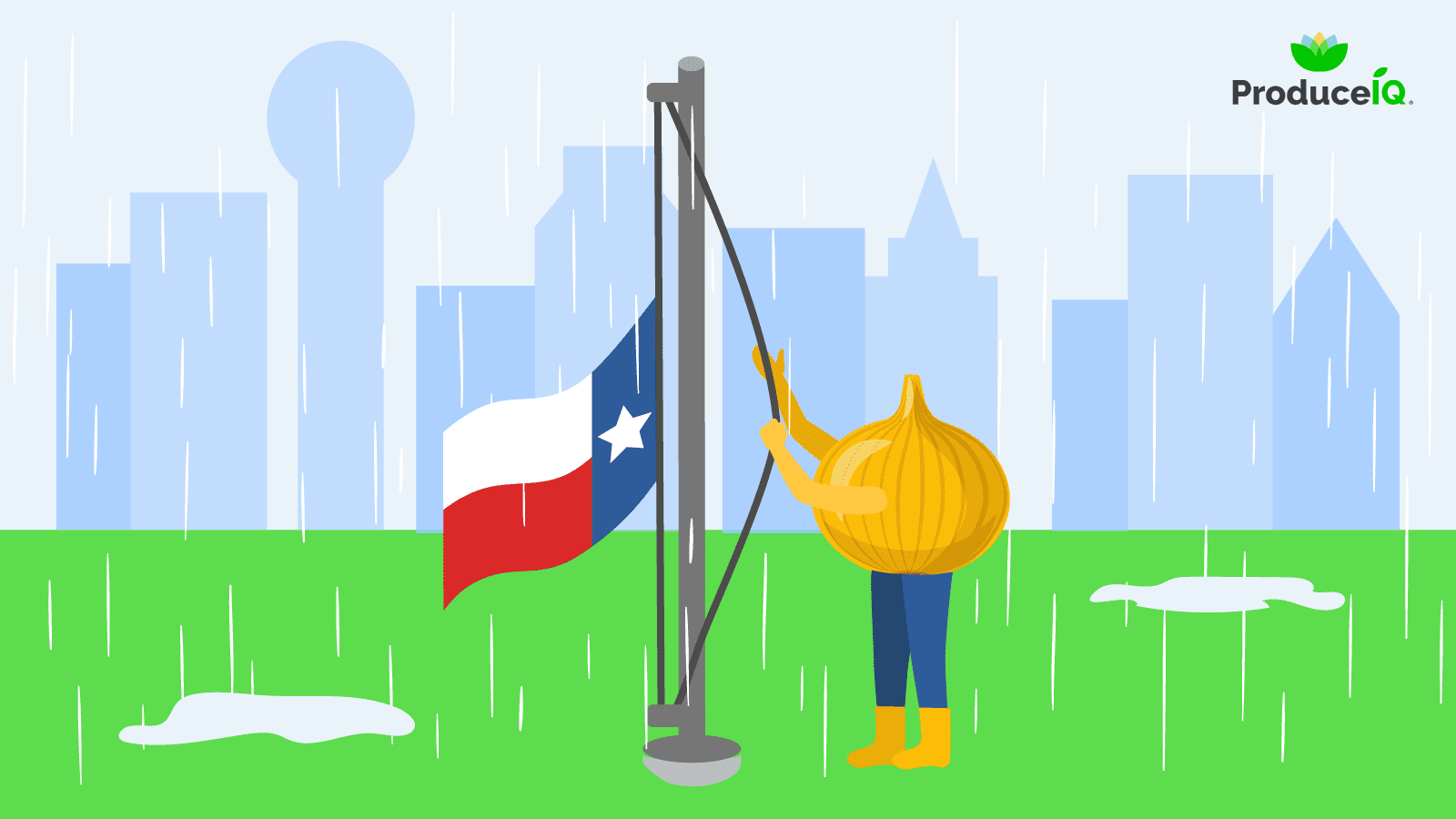 Onion-in-Dallas