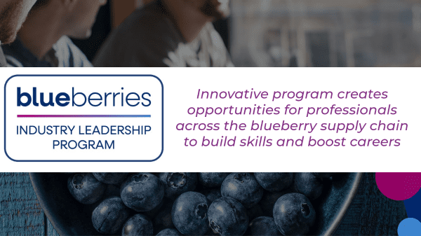 Second blueberry leadership program launched by USHBC