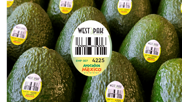 West Pak Avocado introduces new PLU sticker for Mexican avocados