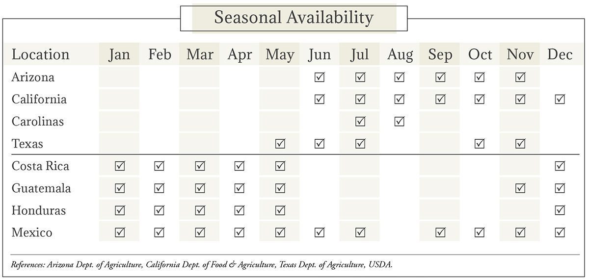 Honeydew Seasonal Availability Chart