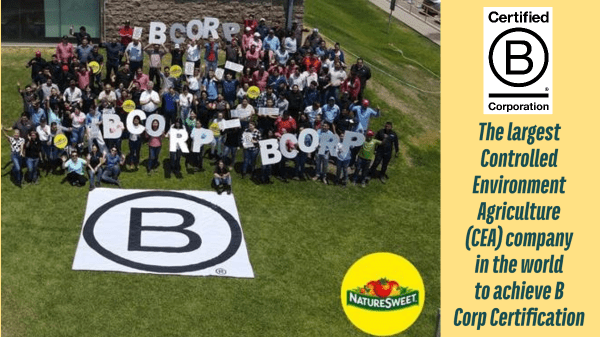 NatureSweet becomes world’s largest CEA to achieve B Corp certification