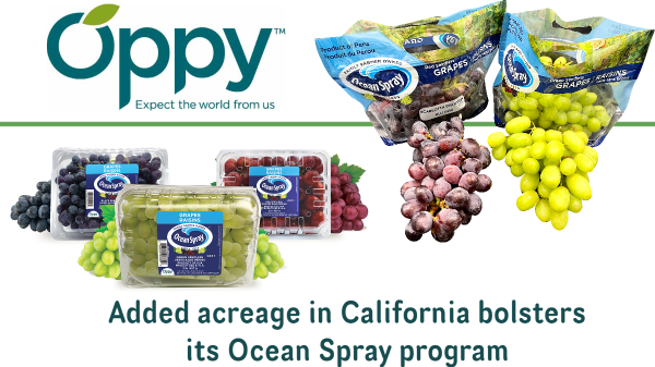 Oppy expands its 365 grape program domestically