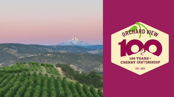 Orchard View brings sweetest cherry crop to stores in 100th year