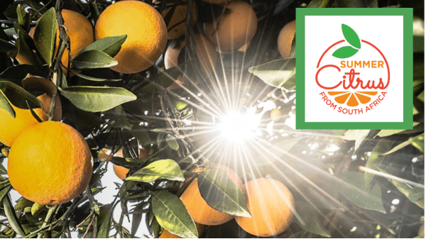Summer citrus from South Africa 2023 season update