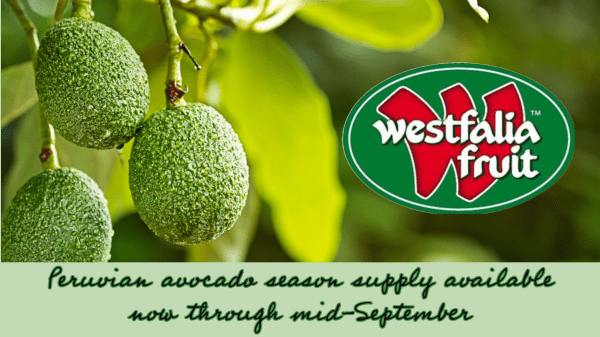 Westfalia announces Peruvian avocado season