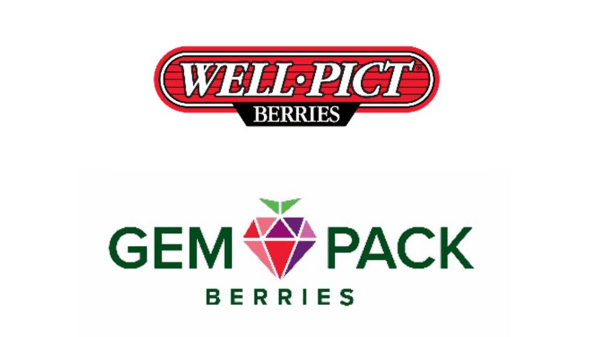 well pict gem pack logos