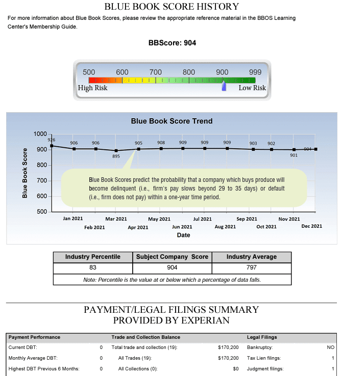 A sample business report featuring the Blue Book Score 