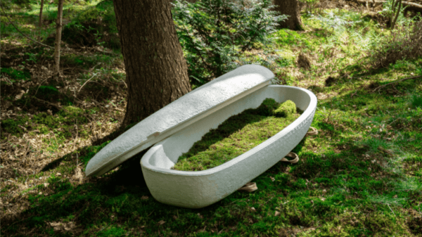 cocoon coffin