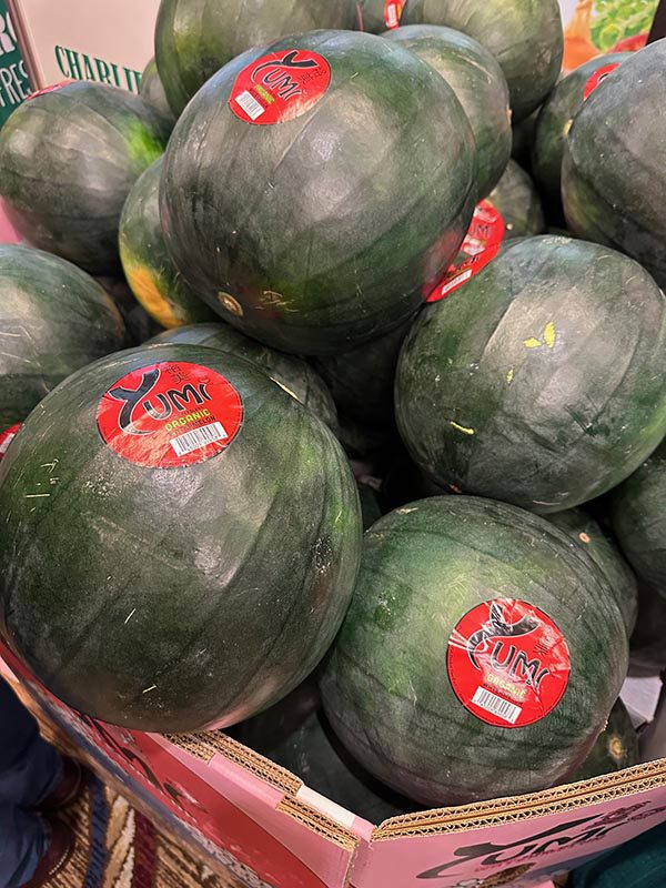 OPS yumi black watermelons