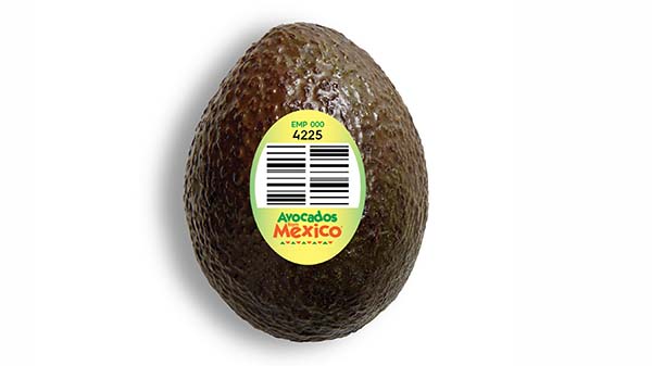 avocados from mexico