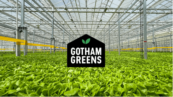https://www.producebluebook.com/wp-content/uploads/2023/08/Gotham-Greens-Windsor-Greenhouse-Final-Banner.png