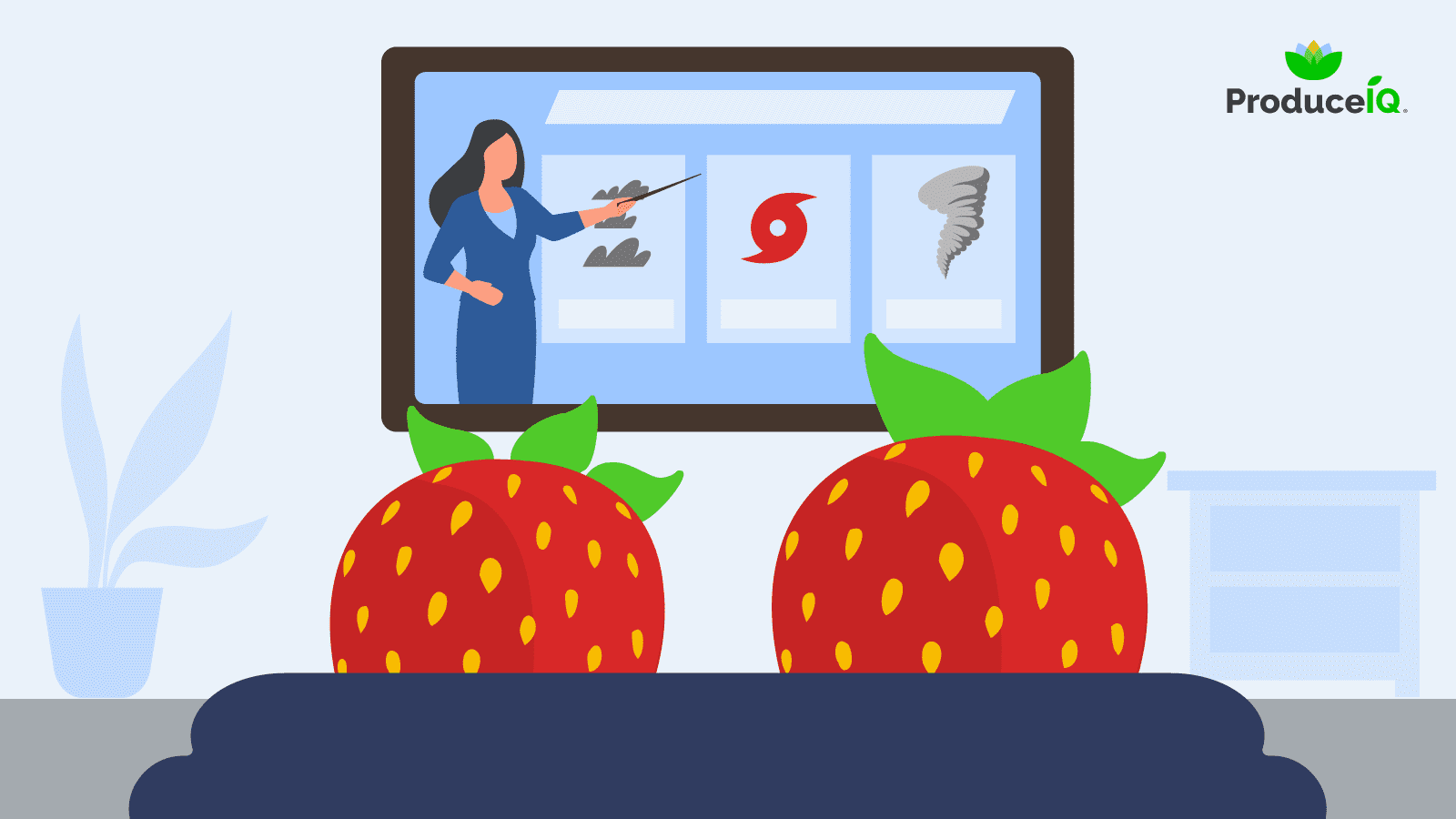 Strawberry-forecast