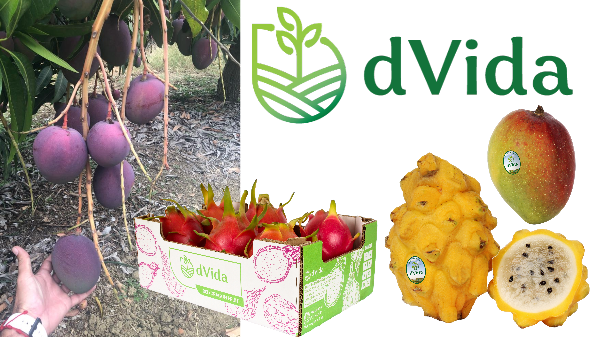 Ecuador Mango / Dragon Fruit Foods that Give Life dVida