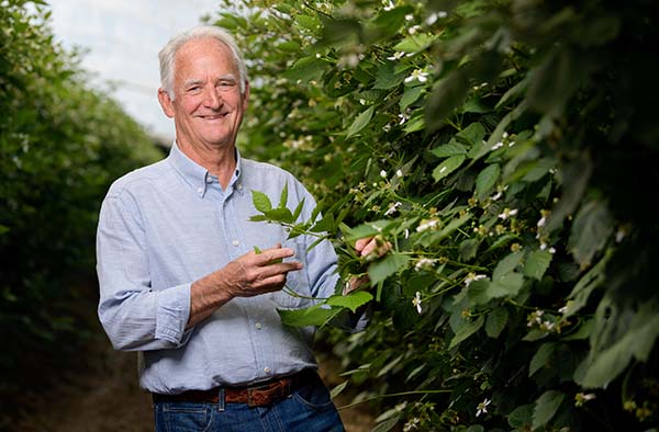 Miles Reiter has been involved in the berry business in some capacity for much of the past 70 years.