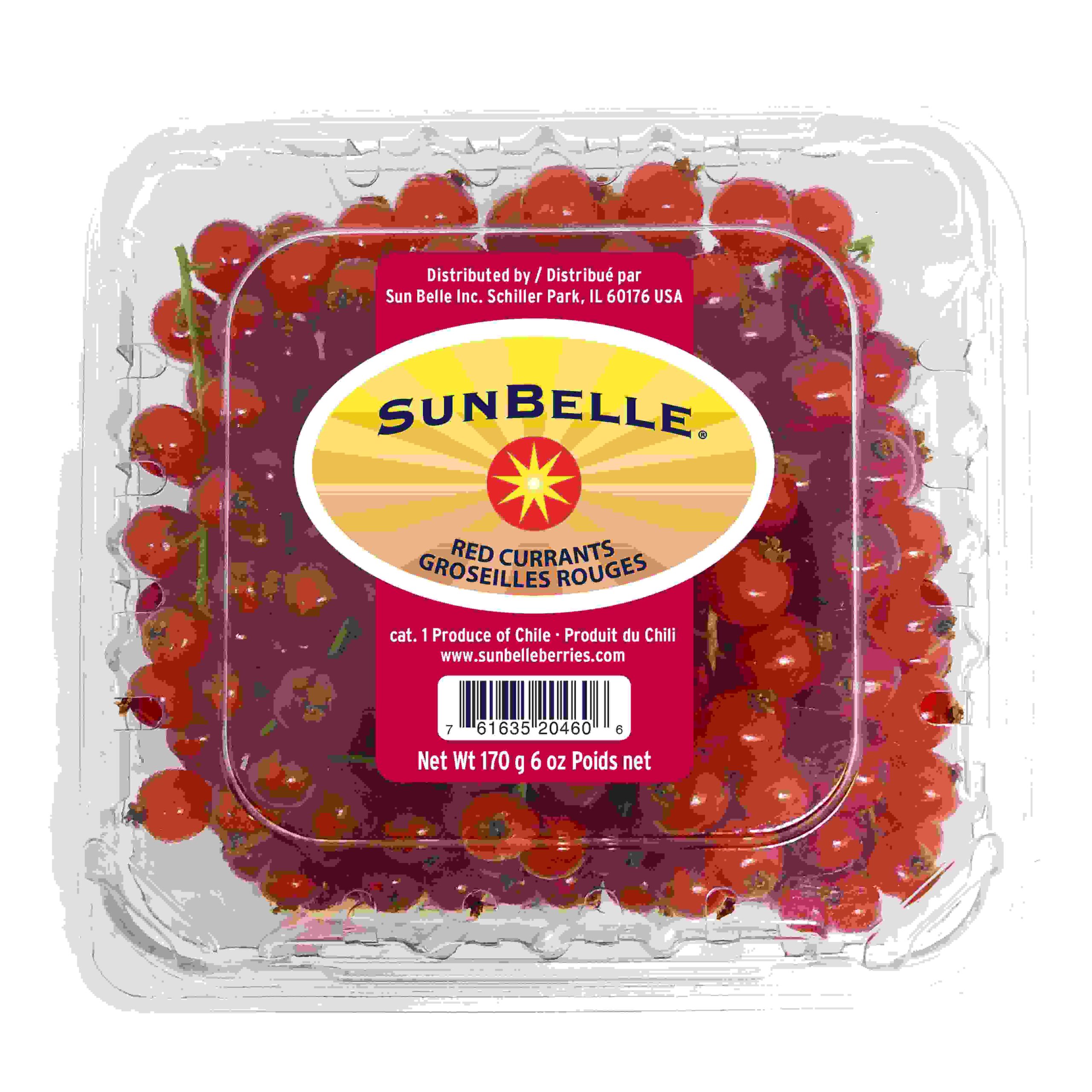 SunBelle RedCurrants-1 PKG 6oz-compressed