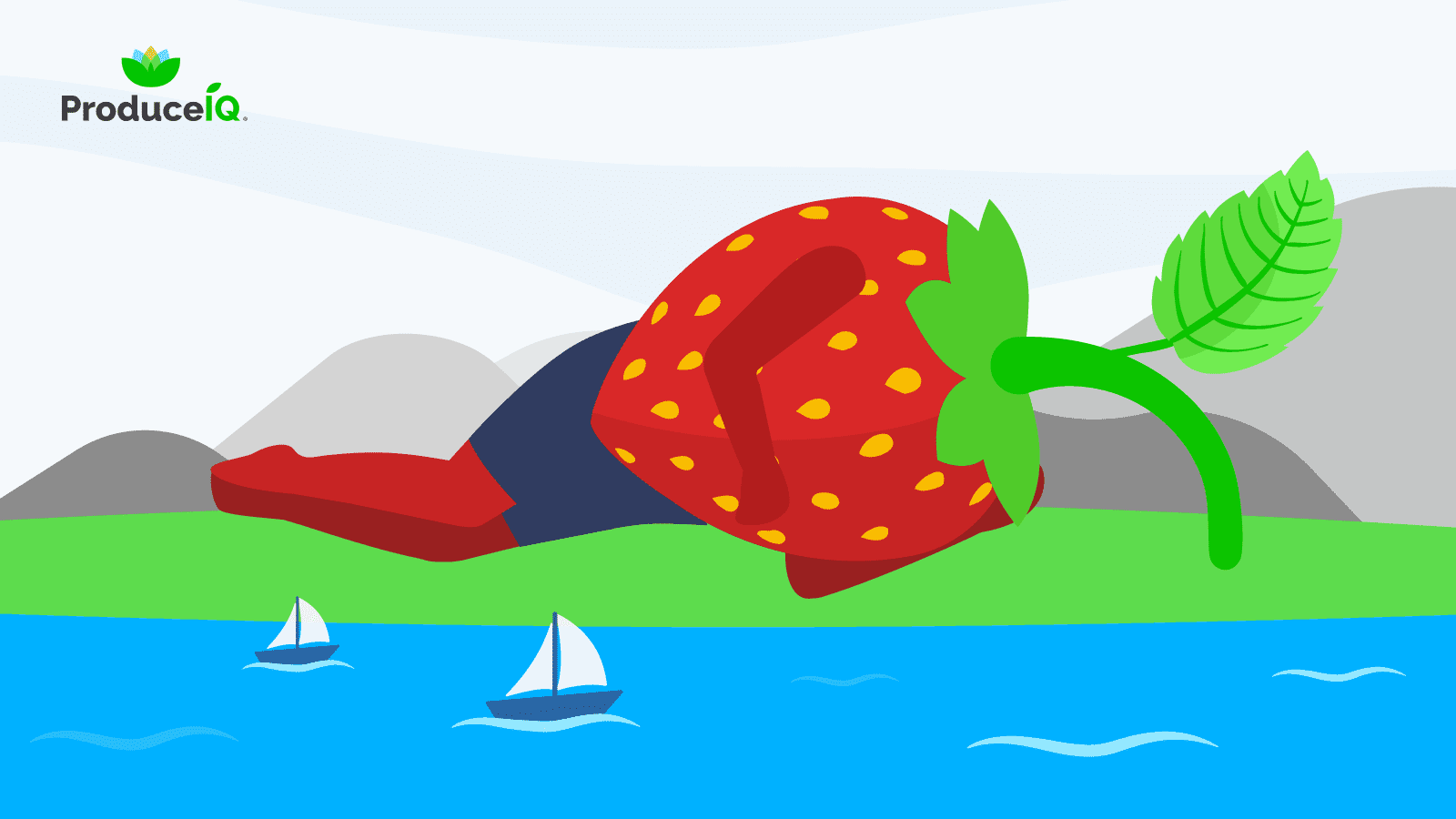 Giant-strawberry