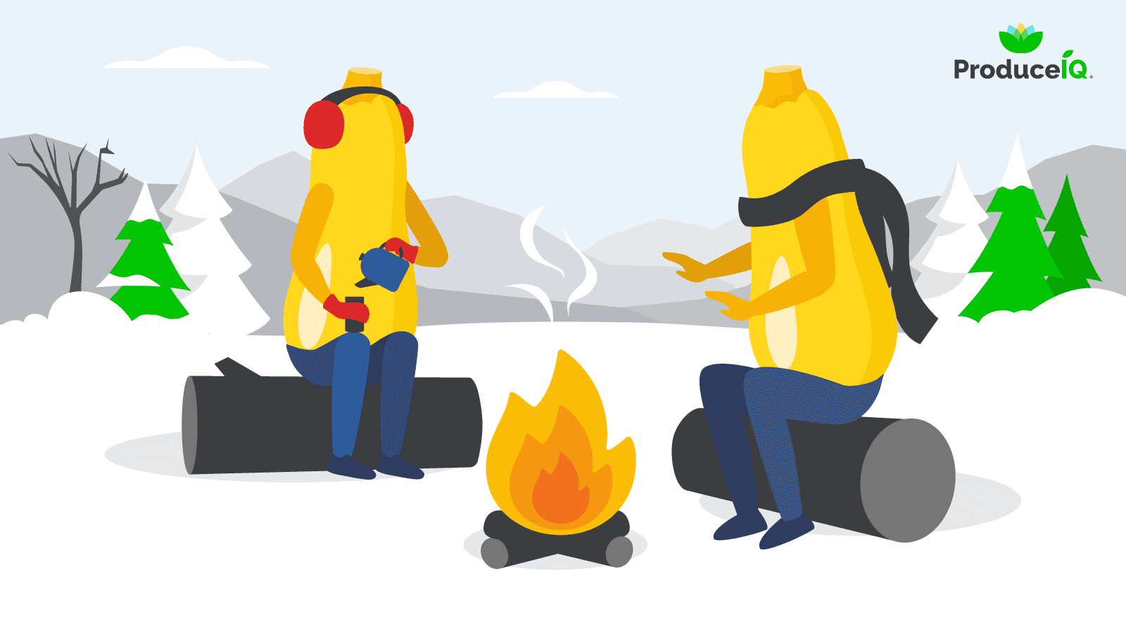 Yellow-Squash-at-the-Campfire