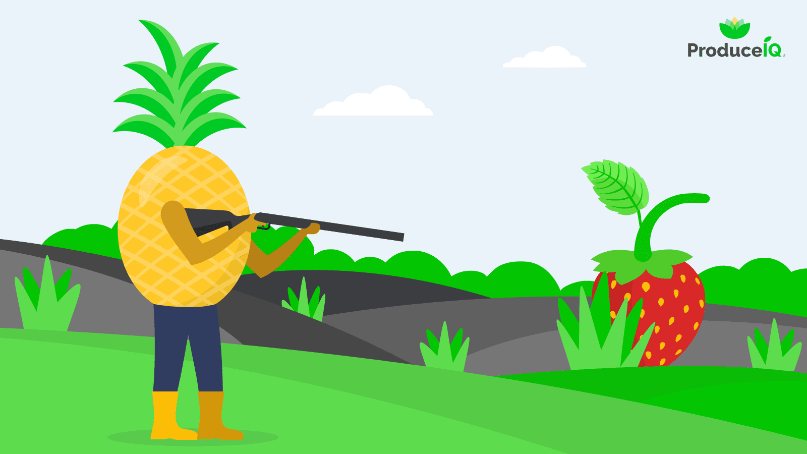 Pineapple-hunter