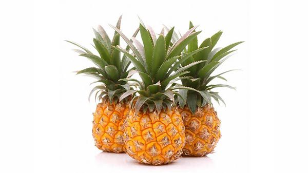 precious honeyglow pineapple