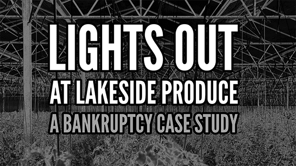 lakeside bankruptcy -1b