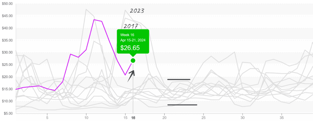 Iceberg-graph-april22-2024